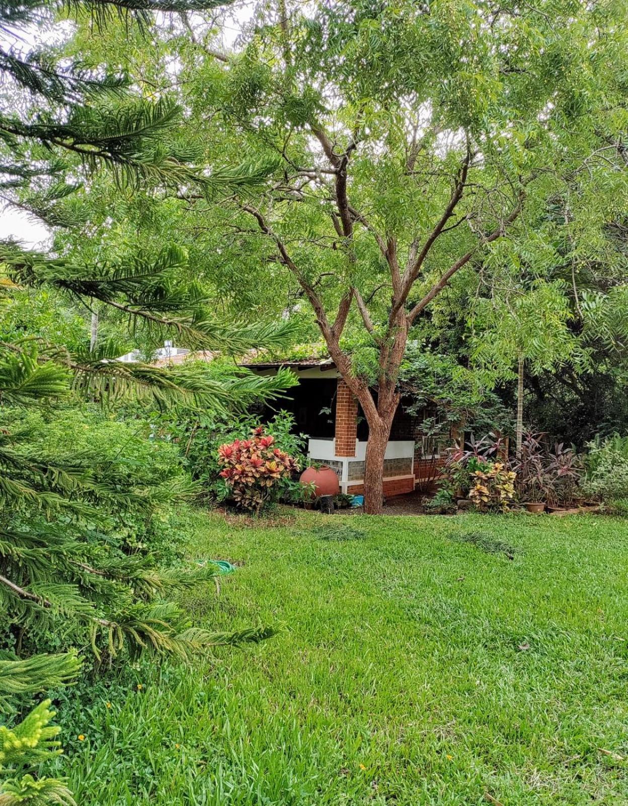 Inn Pondiville Forest Retreat Pondichéry Extérieur photo